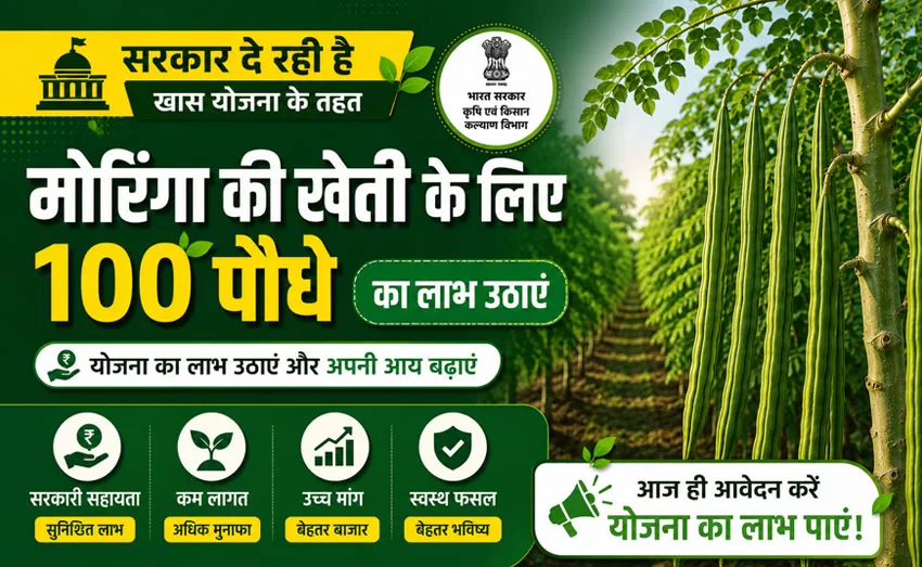 Learn Moringa Farming