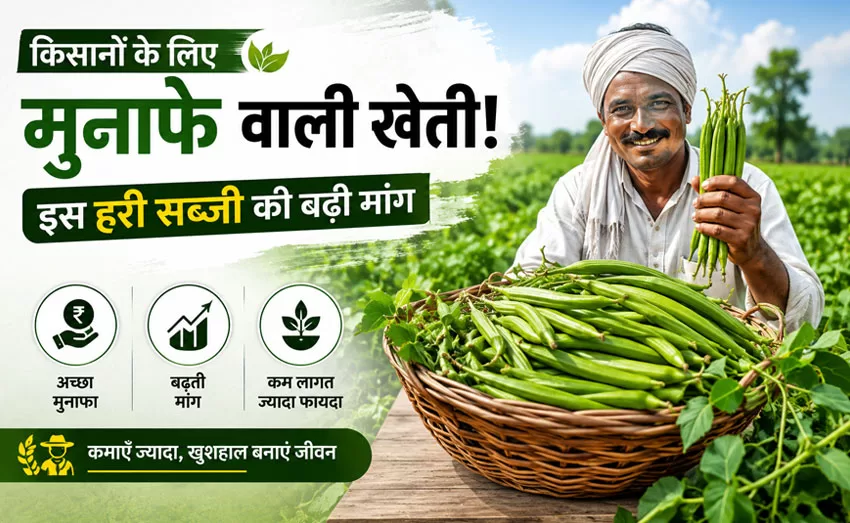मेथी की खेती मेथी की खेती