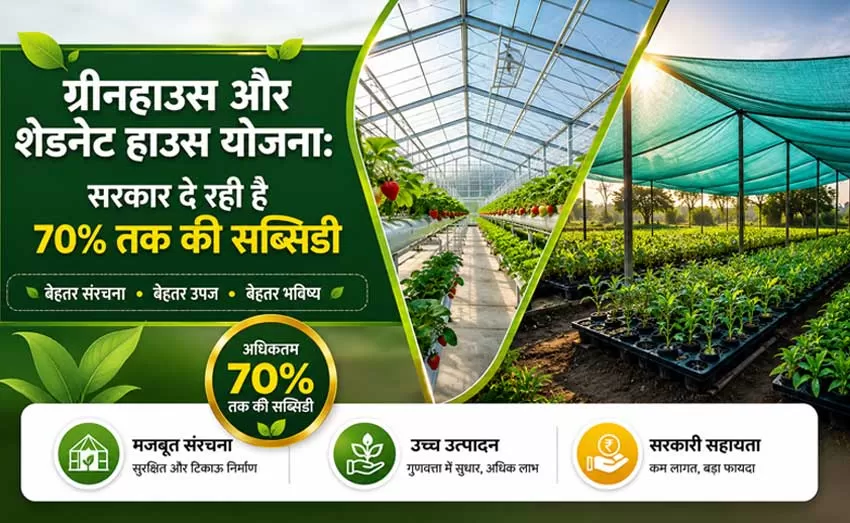 Greenhouse and Shadenet House Scheme: Government is providing subsidy up to 70%