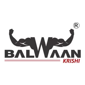 Balwaan