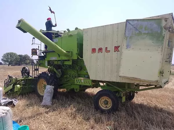 Balkar Balkar 654 Grain Master