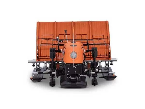 Shaktiman Paddy Ropak 37