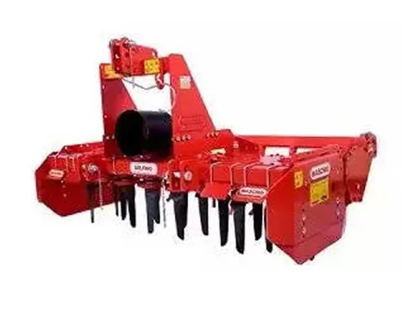 Maschio Gaspardo Delfino 1800