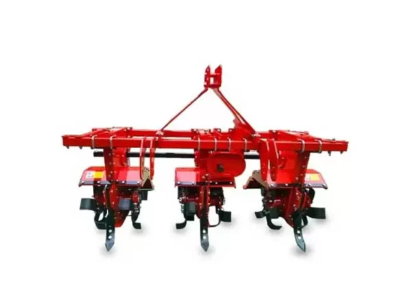 Agrizone Sugarcane Weeder