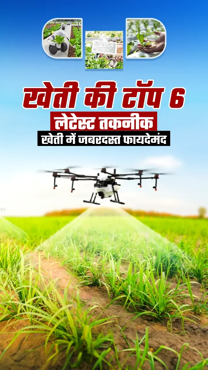 आज के मंडी भाव- दैनिक मंडी भाव...
