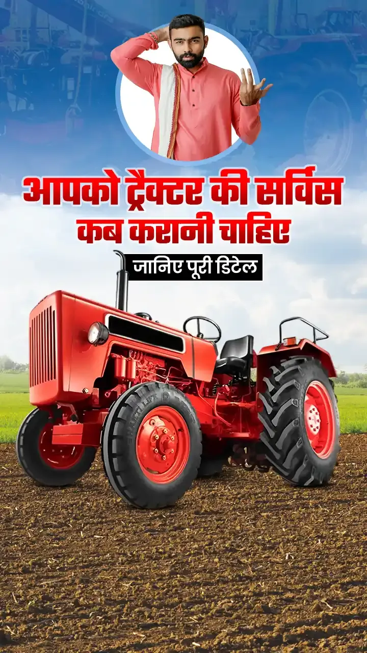 आप यहाँ आज गुजरात के मंडी ..