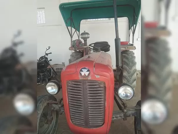 Tafe (Massey) Massey Ferguson 1035 DI