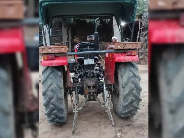 Tafe (Massey) Massey Ferguson 245 DI