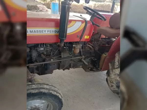 Tafe (Massey) Massey Ferguson 241 DI MAHA SHAKTI
