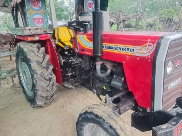 Tafe (Massey) Massey Ferguson 245 DI