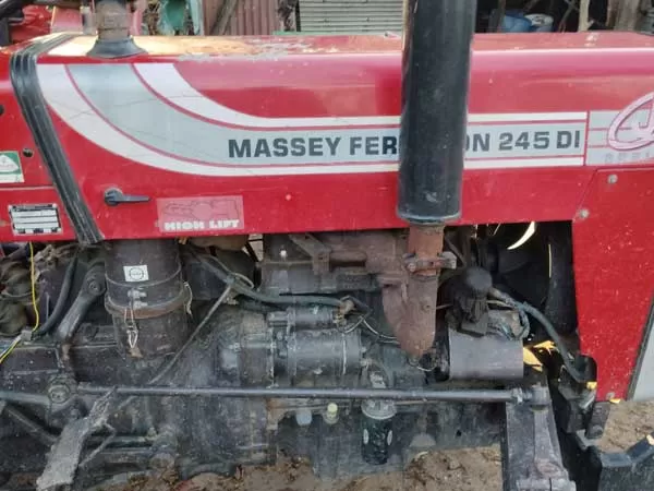 Tafe (Massey) Massey Ferguson 245 DI