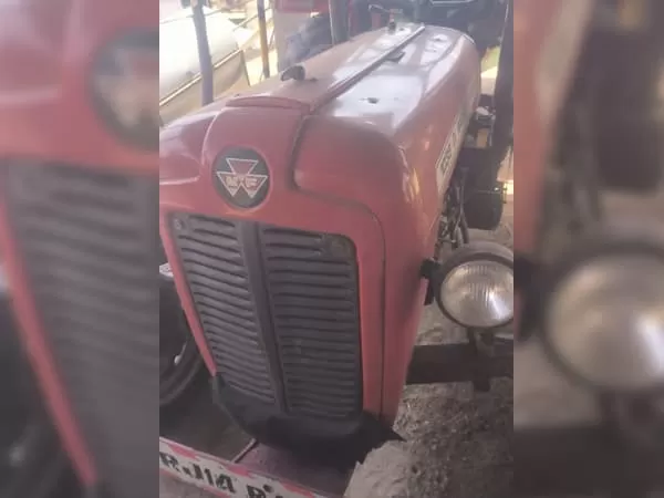 Tafe (Massey) Massey Ferguson 1035 DI