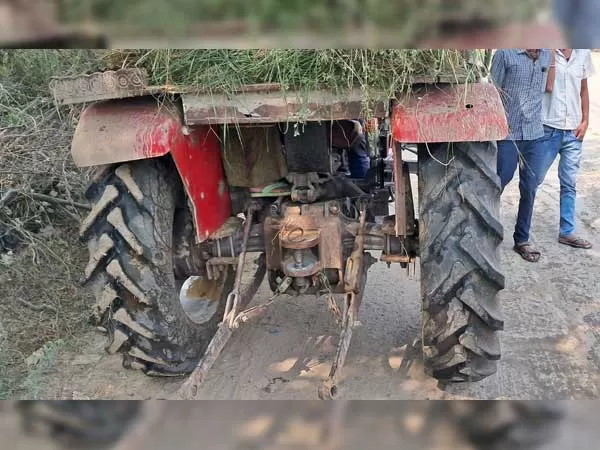 Tafe (Massey) Massey Ferguson 241 DI MAHA SHAKTI