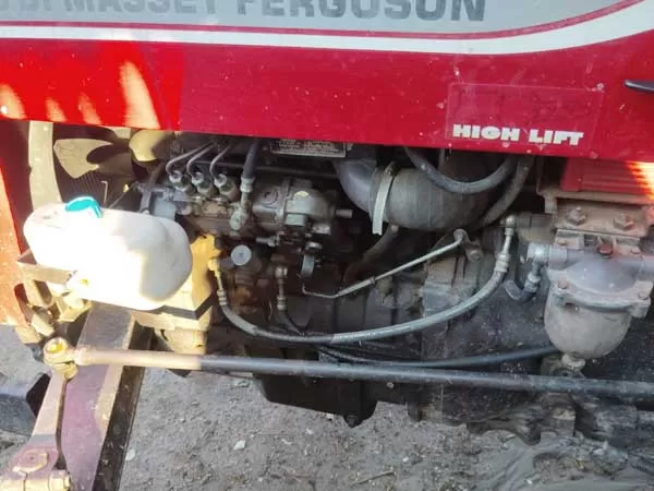 Tafe (Massey) Massey Ferguson 245 DI