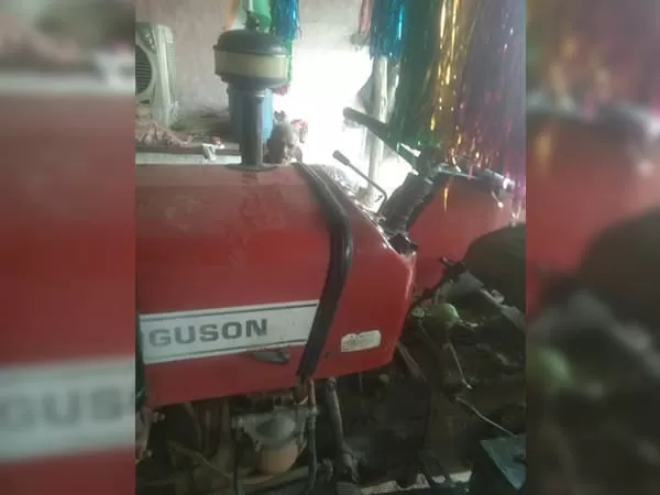 Tafe (Massey) Massey Ferguson 241 DI PLANETARY PLUS