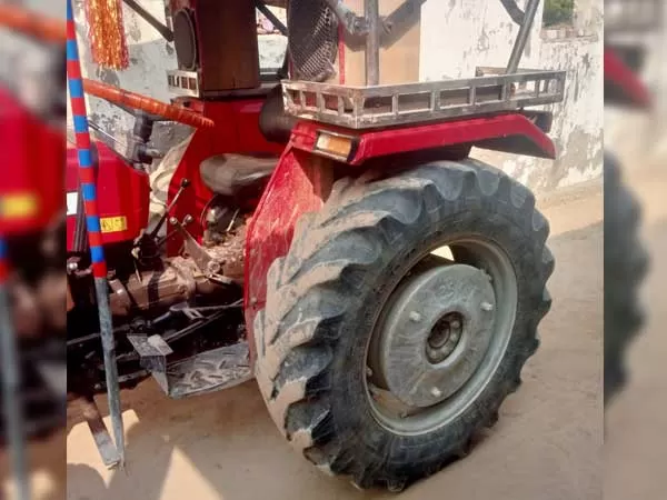 Tafe (Massey) Massey Ferguson 241 DI