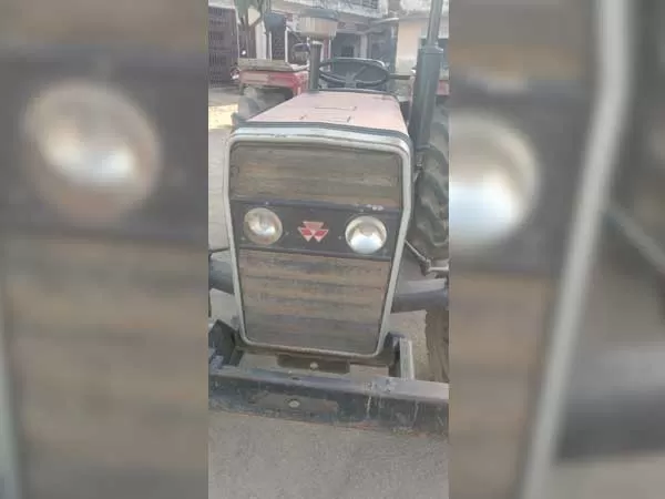 Tafe (Massey) Massey Ferguson 241 DI MAHA SHAKTI