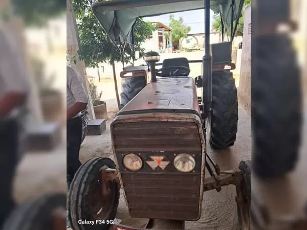 Tafe (Massey) Massey Ferguson 241 DI MAHA SHAKTI