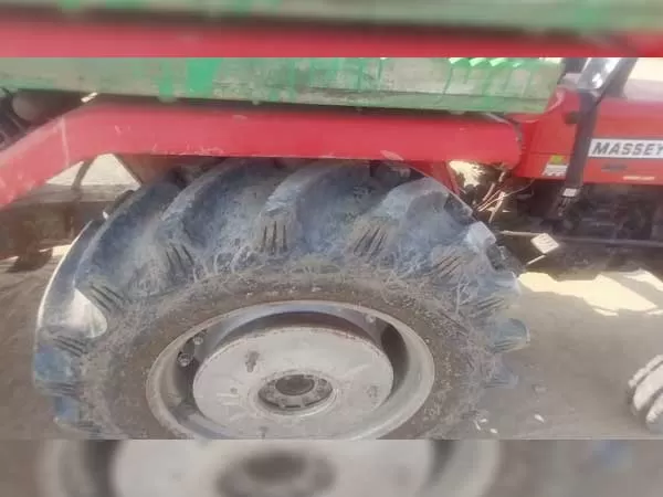 Tafe (Massey) Massey Ferguson 241 DI