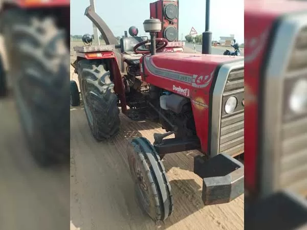 Tafe (Massey) Massey Ferguson 245 DI