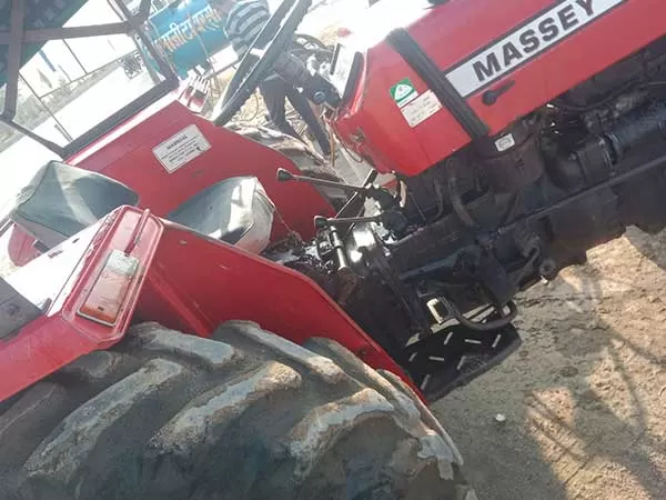 Tafe (Massey) Massey Ferguson 241 DI MAHA SHAKTI