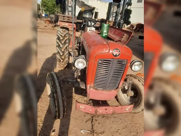 Tafe (Massey) Massey Ferguson 1035 DI