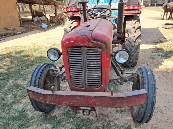 Tafe (Massey) Massey Ferguson 1035 DI