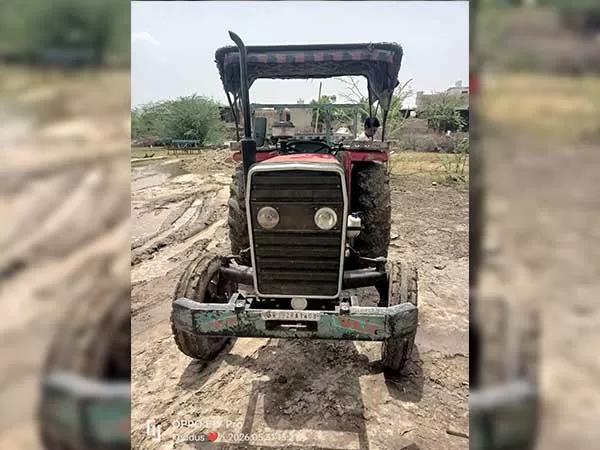 Tafe (Massey) Massey Ferguson 245 DI