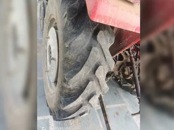 Tafe (Massey) Massey Ferguson 244 DI