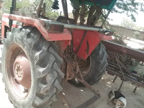 Tafe (Massey) Massey Ferguson 245 DI