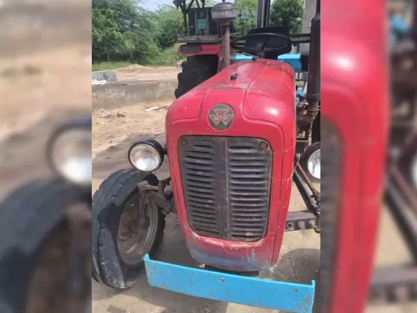 Tafe (Massey) Massey Ferguson 1035 DI