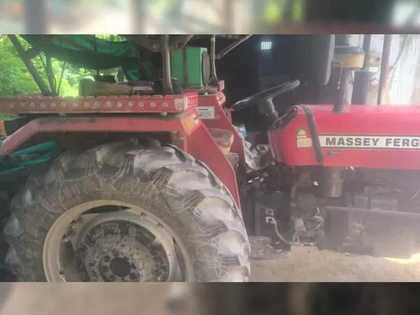 Tafe (Massey) Massey Ferguson 241 DI