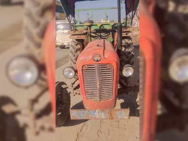 Tafe (Massey) Massey Ferguson 1035 DI