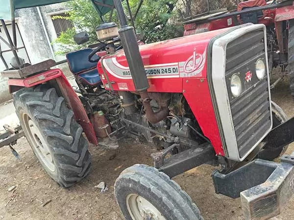 Tafe (Massey) Massey Ferguson 245 DI