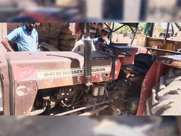 Tafe (Massey) Massey Ferguson 241 DI