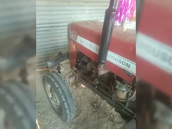 Tafe (Massey) Massey Ferguson 241 DI PLANETARY PLUS