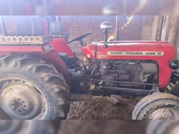 Tafe (Massey) Massey Ferguson 1035 DI