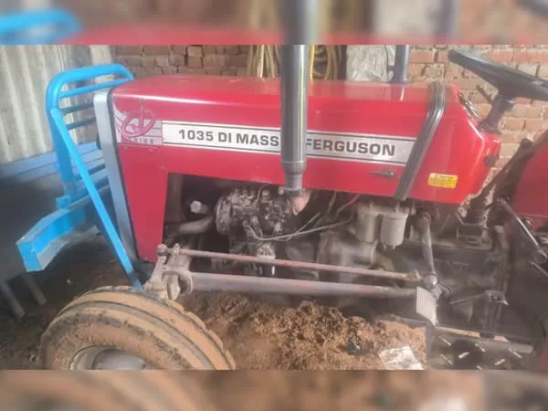 Tafe (Massey) Massey Ferguson 1035 DI