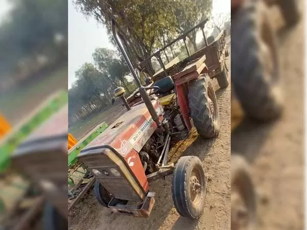 Tafe (Massey) Massey Ferguson 241 DI