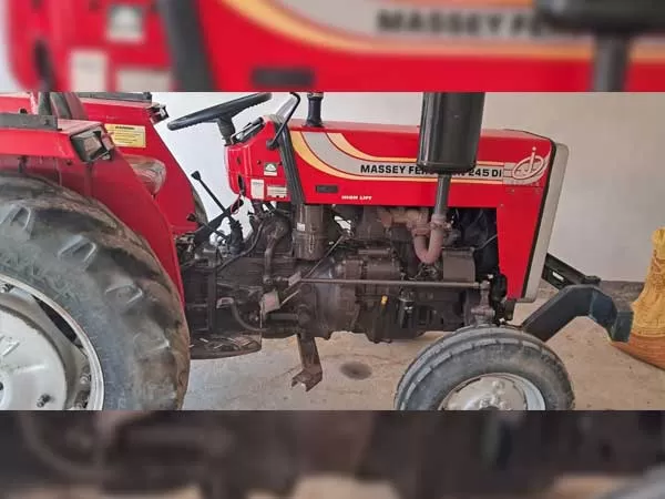 Tafe (Massey) Massey Ferguson 245 DI