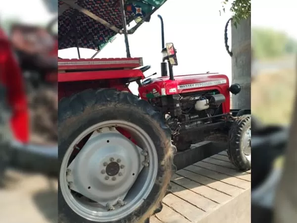 Tafe (Massey) Massey Ferguson 1035 DI