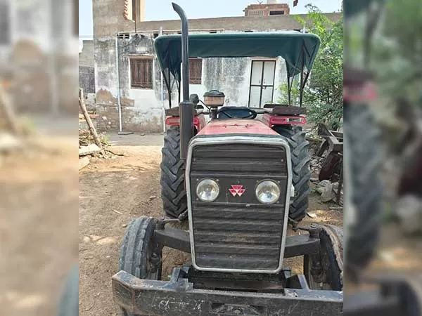Tafe (Massey) Massey Ferguson 245 DI