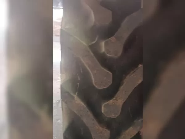 Tafe (Massey) Massey Ferguson 241 DI MAHA SHAKTI