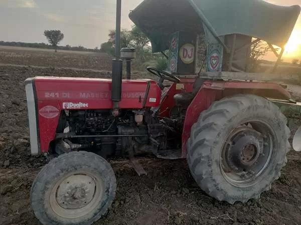 Tafe (Massey) Massey Ferguson 241 DI MAHA SHAKTI