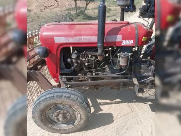 Tafe (Massey) Massey Ferguson 1035 DI