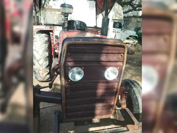 Tafe (Massey) Massey Ferguson 241 DI MAHA SHAKTI