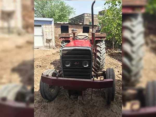 Tafe (Massey) Massey Ferguson 1035 DI