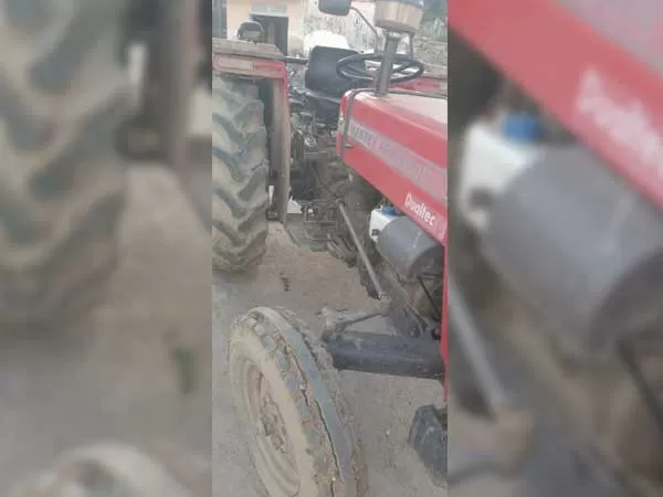 Tafe (Massey) Massey Ferguson 241 DI MAHA SHAKTI