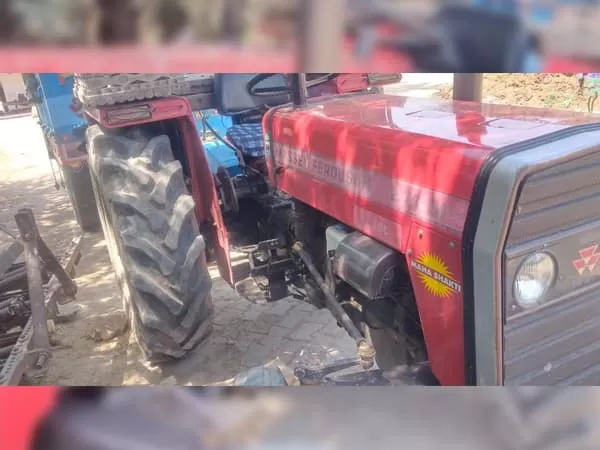 Tafe (Massey) Massey Ferguson 241 DI MAHA SHAKTI