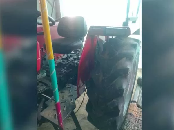 Tafe (Massey) Massey Ferguson 245 DI